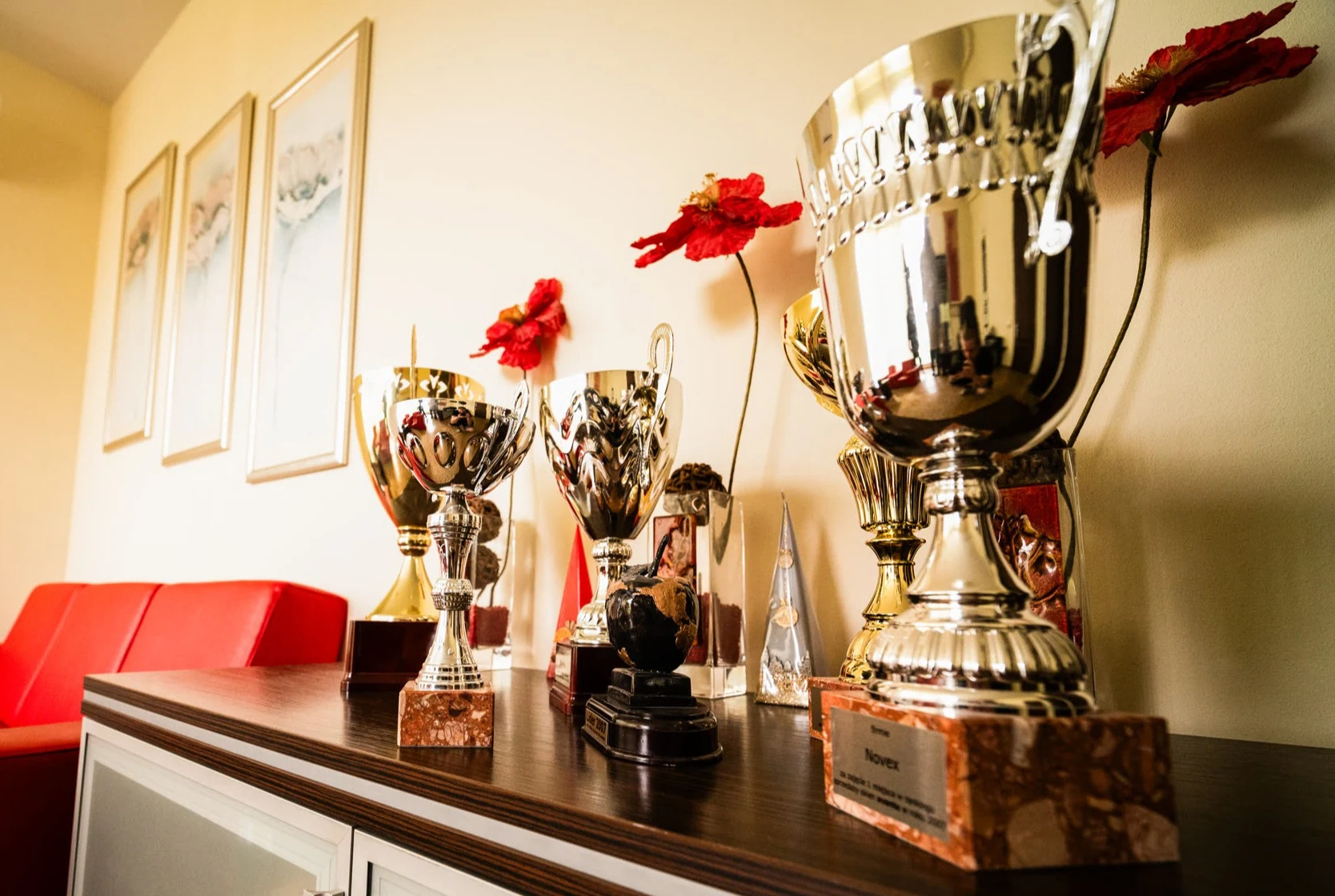 Trofea i wyróżnienia NOVEX na ekspozycji w biurze